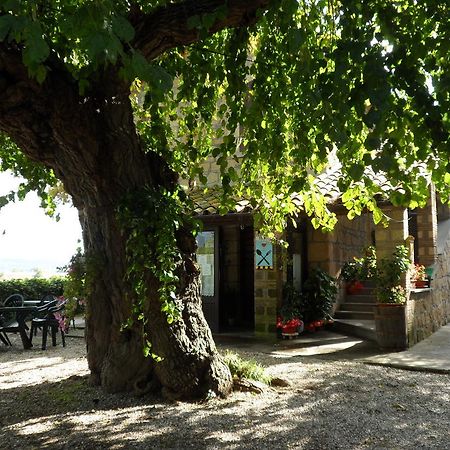 Mola Solis Hotel Civitella d'Agliano Exterior photo