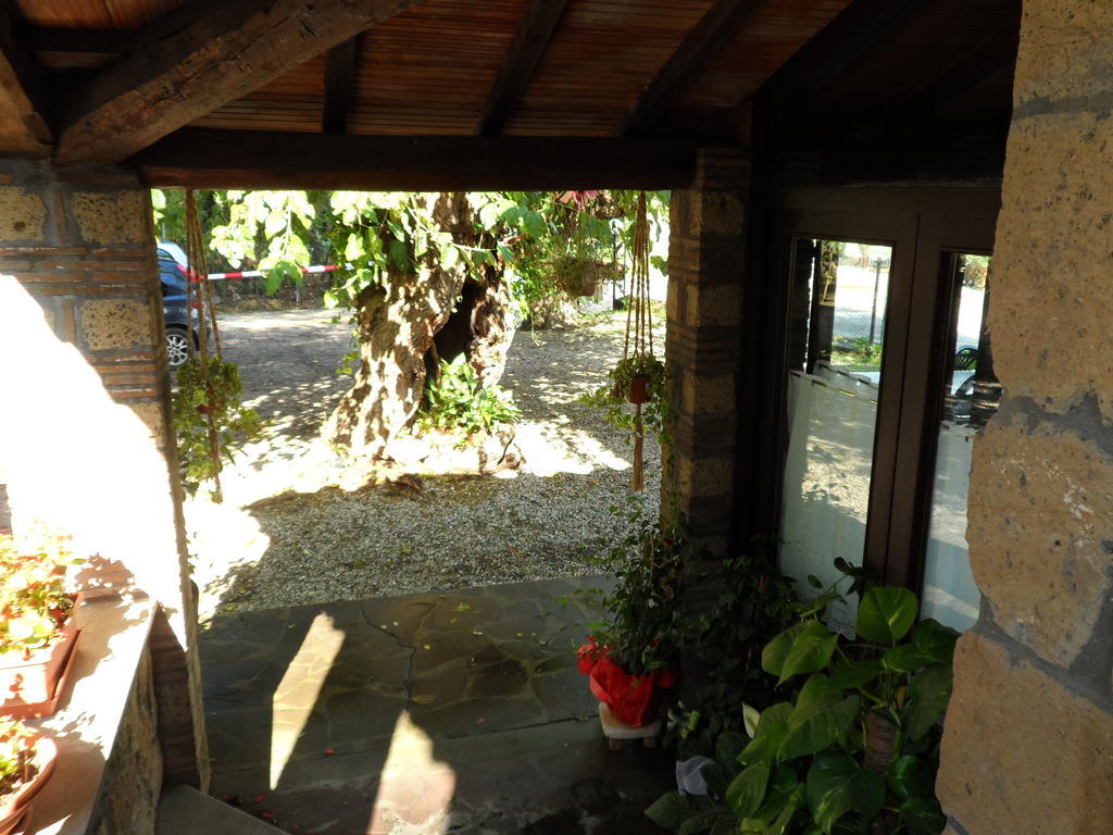 Mola Solis Hotel Civitella d'Agliano Exterior photo