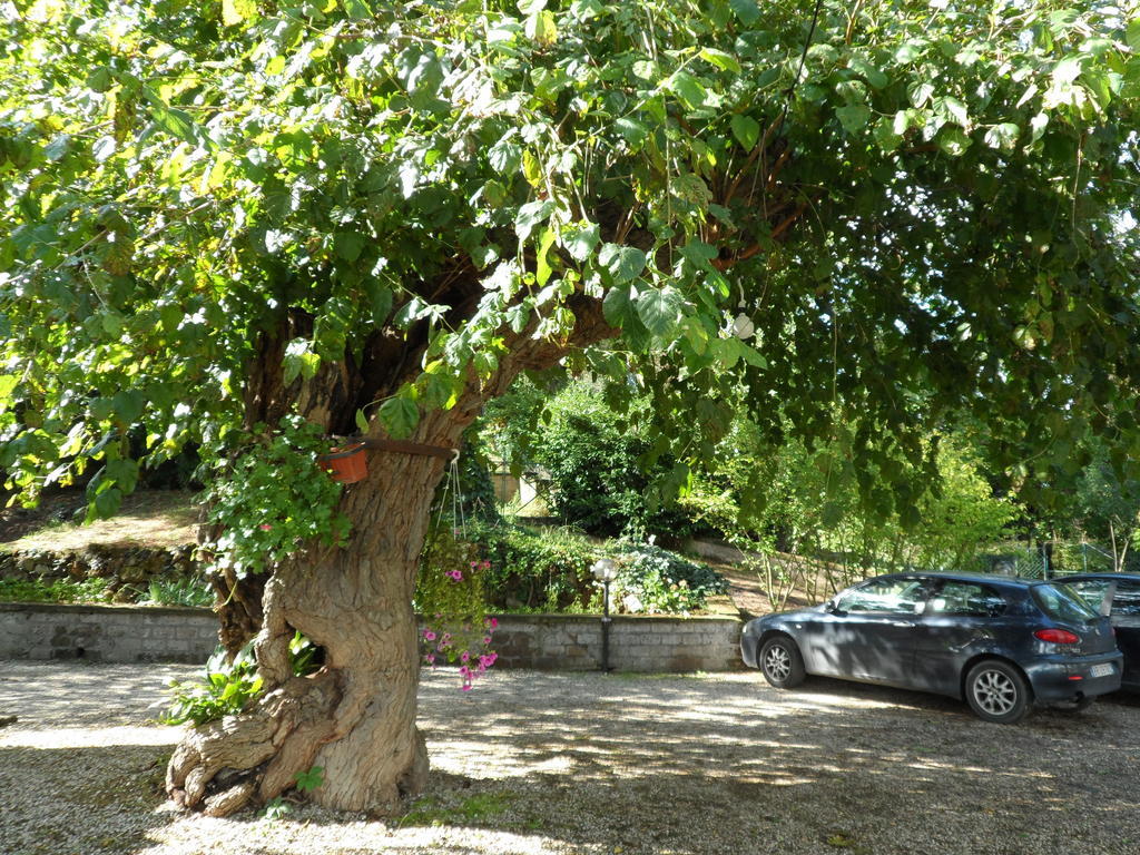 Mola Solis Hotel Civitella d'Agliano Exterior photo
